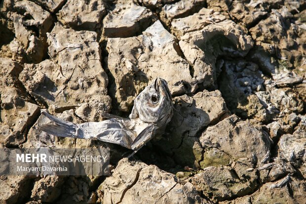 ششمین خشکسالی پیاپی در ایران؛ تا آذرماه خبری از بارش‌های پاییزی نیست