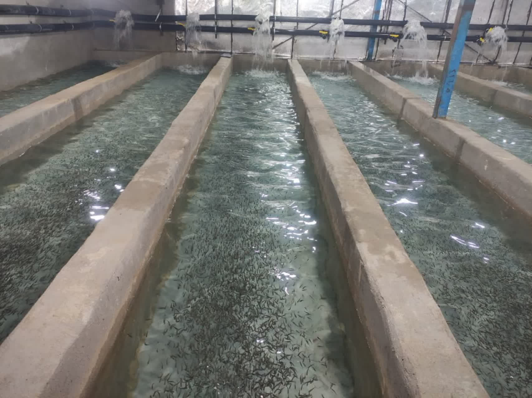 هشت طرح شیلاتی همزمان با دهه فجر بهره برداری خواهد شد.