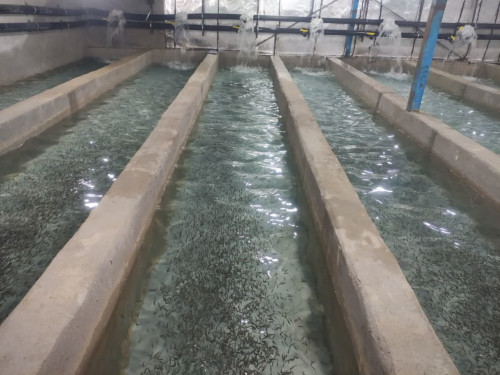 هشت طرح شیلاتی همزمان با دهه فجر بهره برداری خواهد شد.